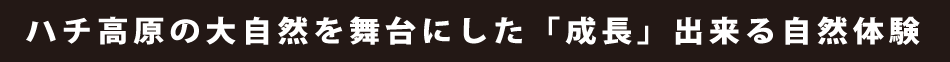 ハチ高原の大自然を舞台にした「成長」出来る自然体験